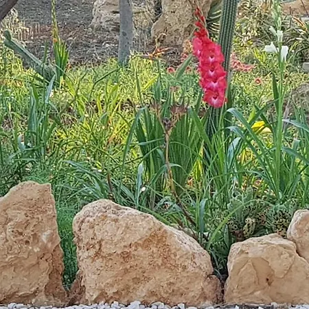 Bed and breakfast Il Giardino Di Afrodite Marinella di Selinunte