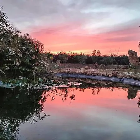 Il Giardino Di Afrodite 3* Marinella di Selinunte